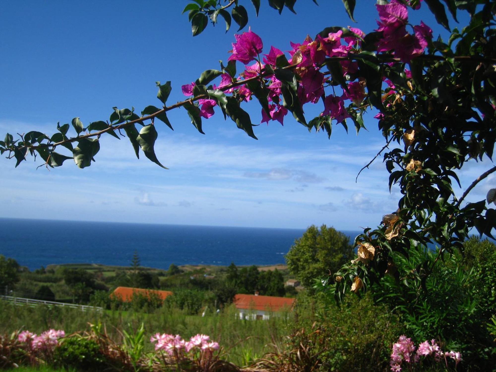 Casa-Azores Por Do Sol Villa Ponta Delgada  Exterior photo